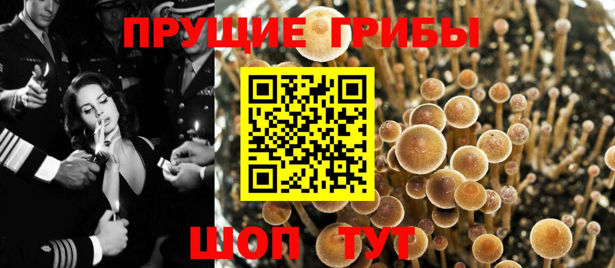 Новочебоксарск  Псилоцибиновые грибы мухоморы  Вход с VPN  Галлюциногенные грибы Magic Shrooms 